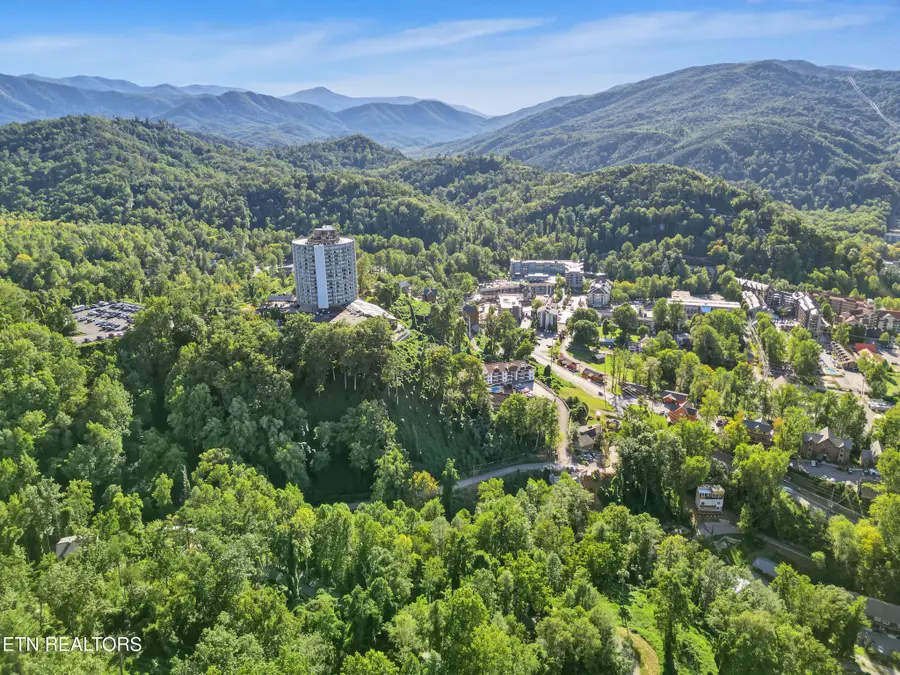15 Davenport Rd, Gatlinburg, TN 37738 - #3
