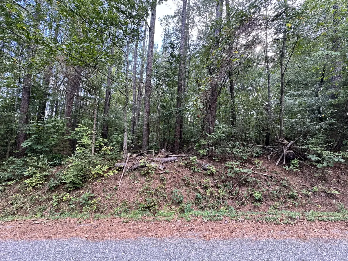 0 Forest Trail, Bumpus Mills, TN 37028 - #1