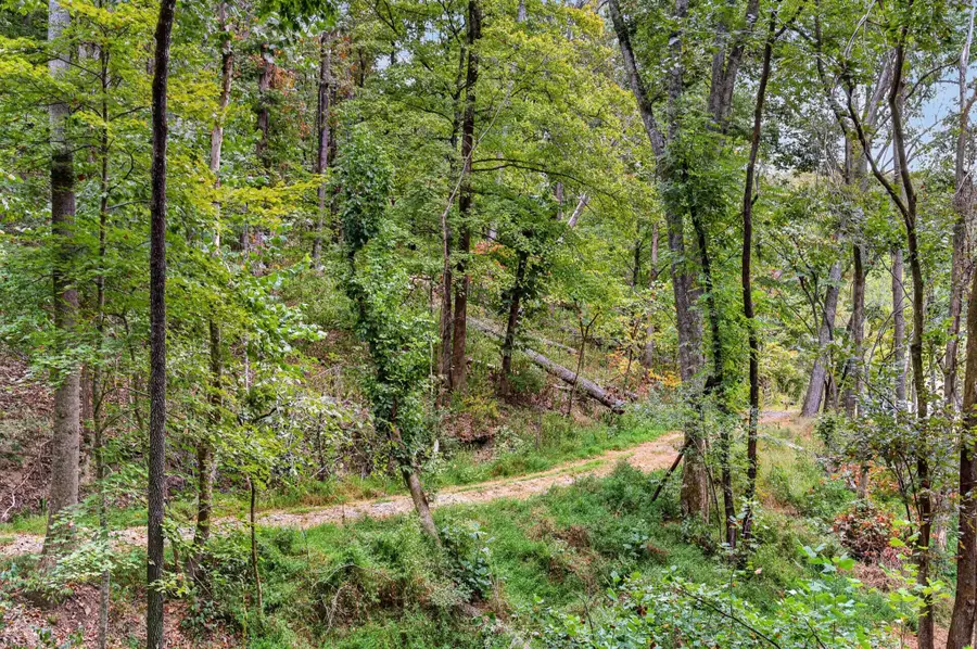 218 Forest Ridge Ct, Franklin, TN 37069 - #3