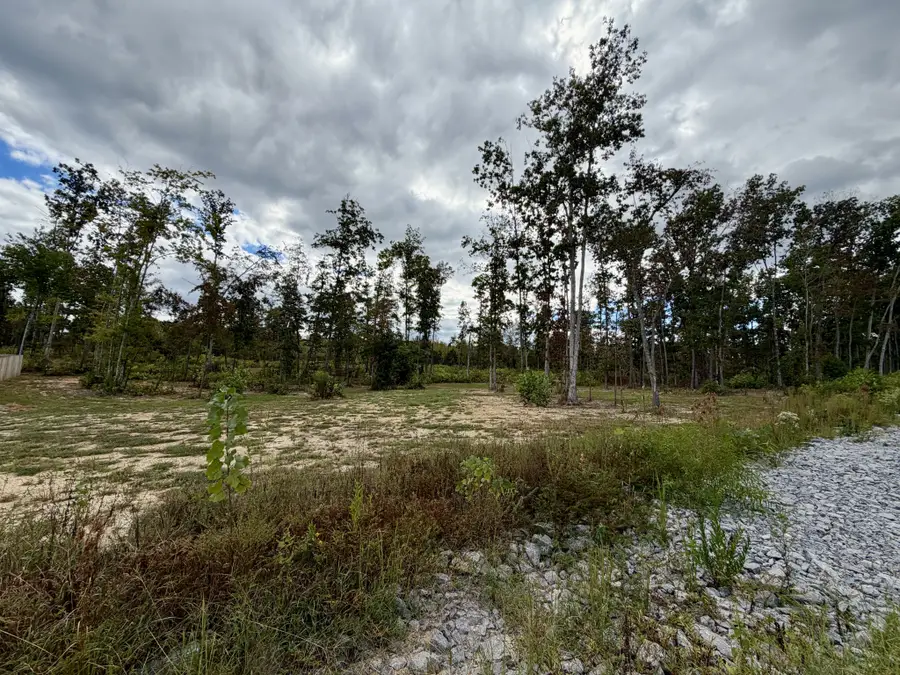 0 Brinkley Rd, Wartrace, TN 37183 - #2