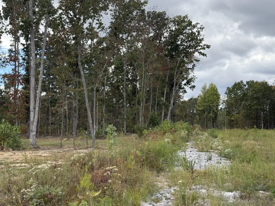 0 Brinkley Rd, Wartrace, TN 37183 - #2