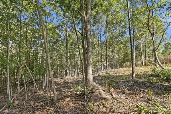 468 Streamside Drive, Dover, TN 37058 - #3