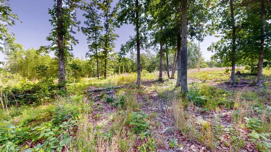 820 Overlook Trl, Stewart, TN 37175 - #2