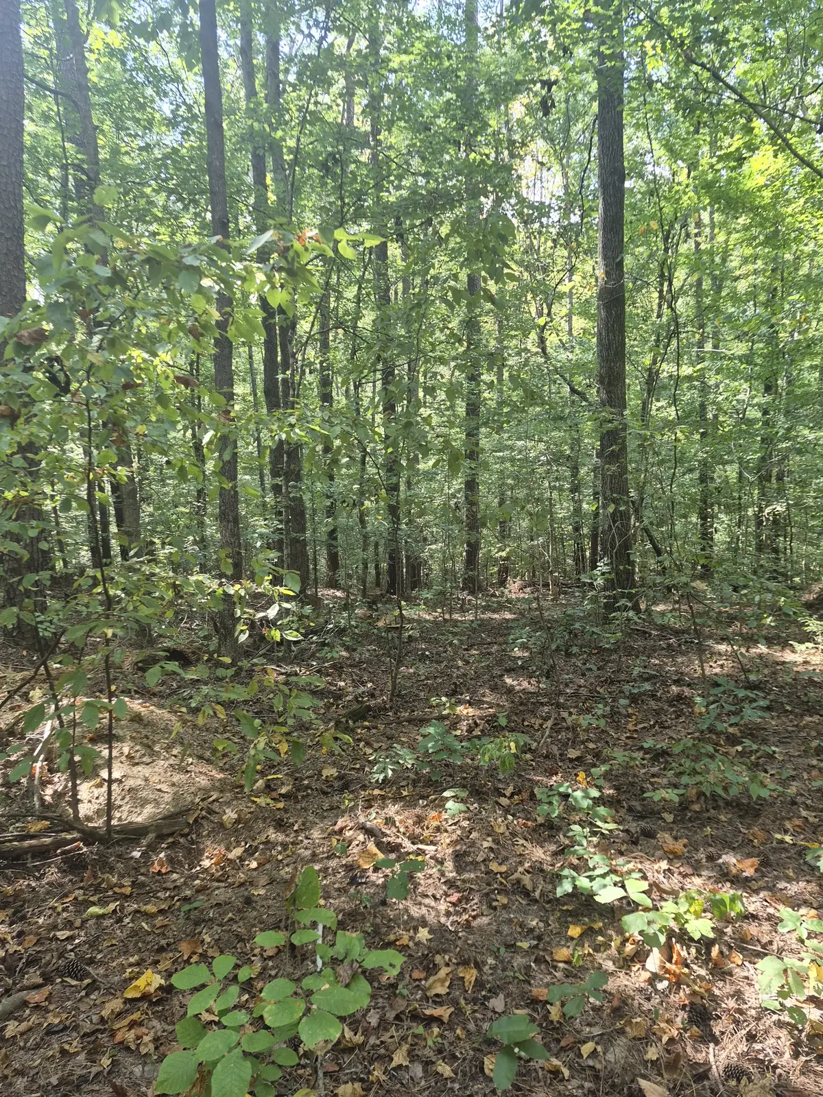 1318 Turkey Creek Rd, Dickson, TN 37055 - #1