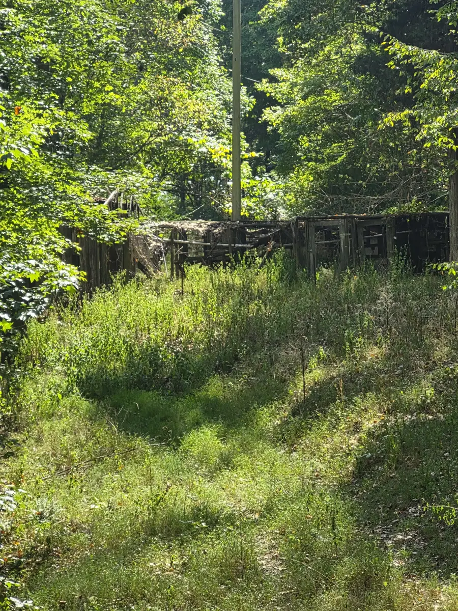 1318 Turkey Creek Rd, Dickson, TN 37055 - #2