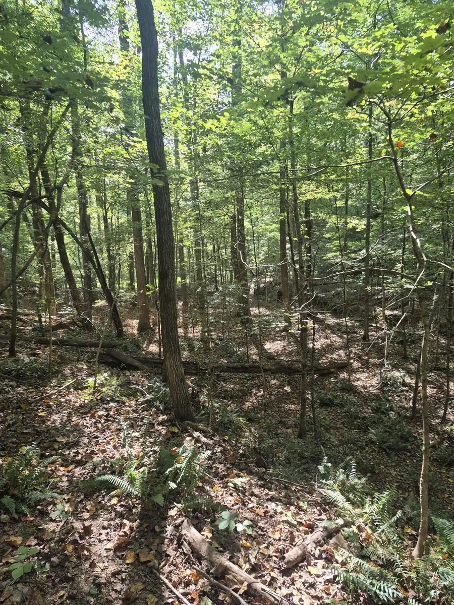 1318 Turkey Creek Rd, Dickson, TN 37055 - #3