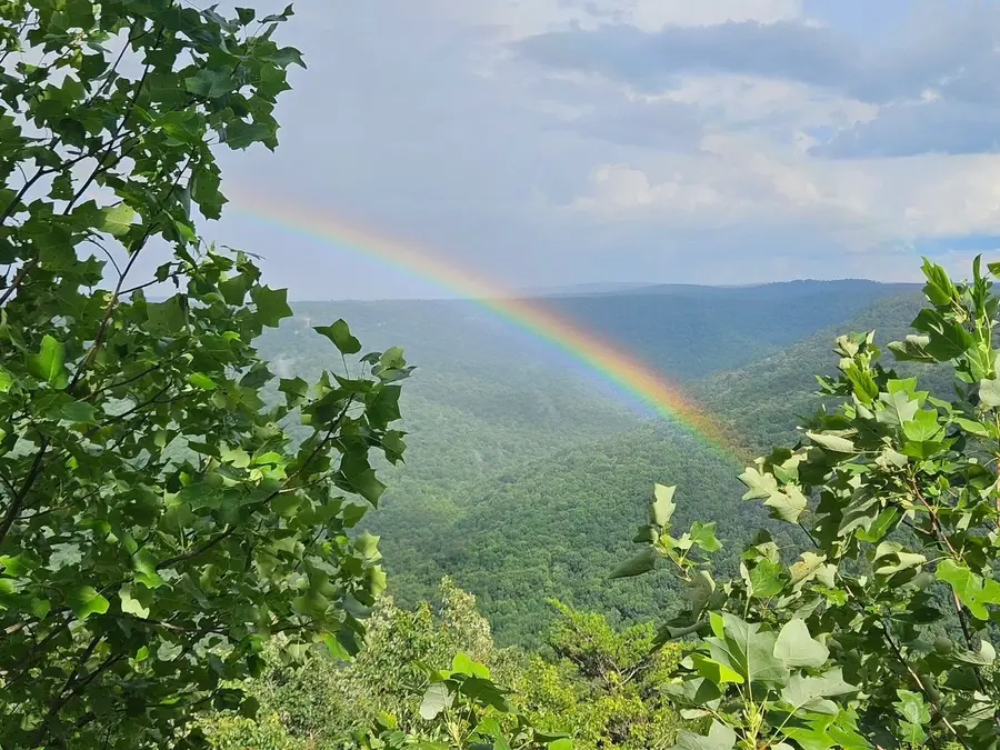 0 Grassy Ridge Rd, Beersheba Springs, TN 37305 - #3