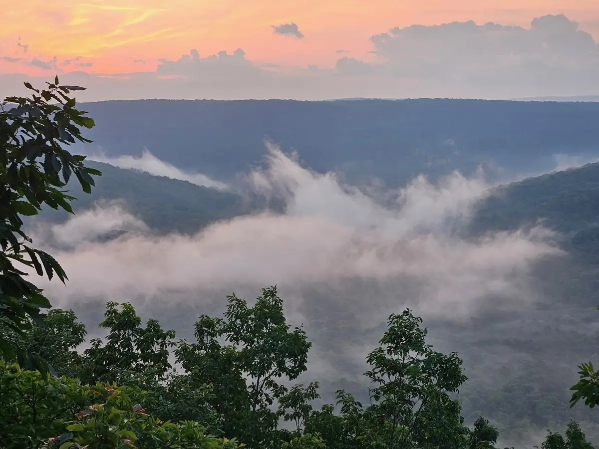 0 Grassy Ridge Rd, Beersheba Springs, TN 37305 - #1