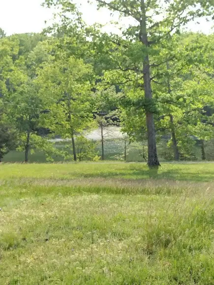 0 South Hidden Valley Rd, Nunnelly, TN 37137 - #2
