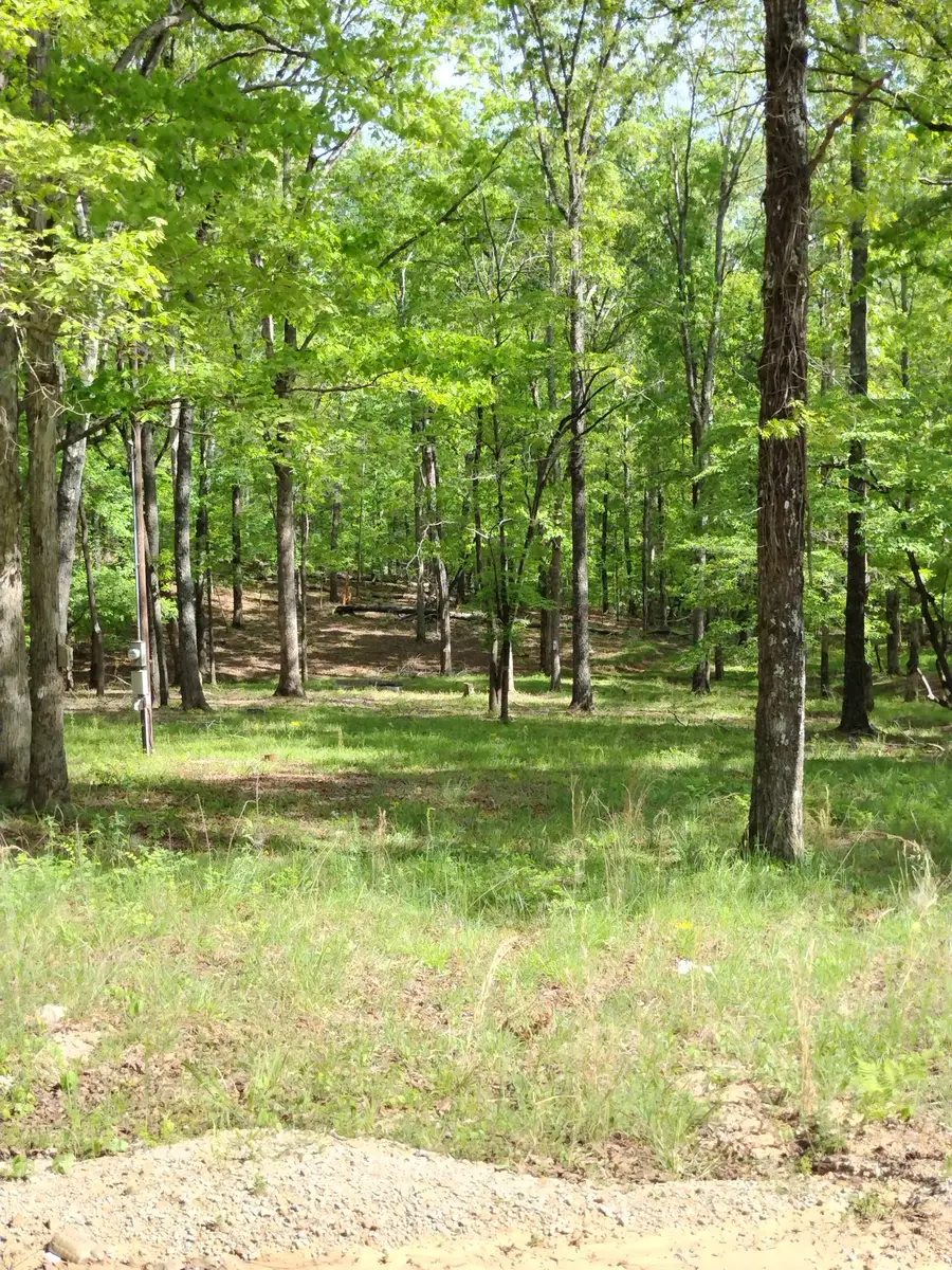0 South Hidden Valley Rd, Nunnelly, TN 37137 - #3