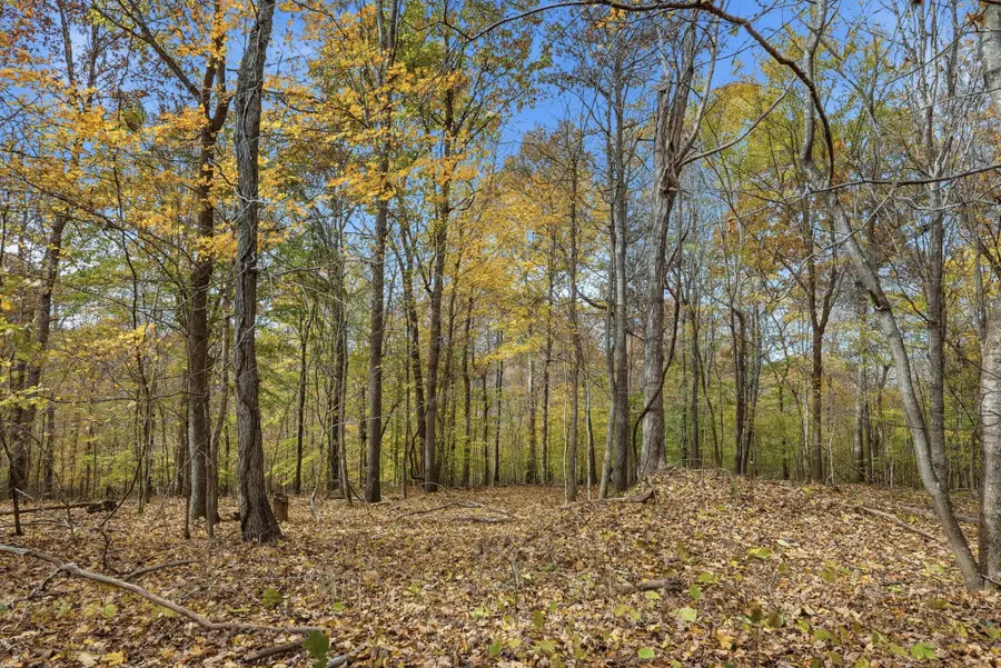 0 Vaughn Lane, Indian Mound, TN 37079 - #3