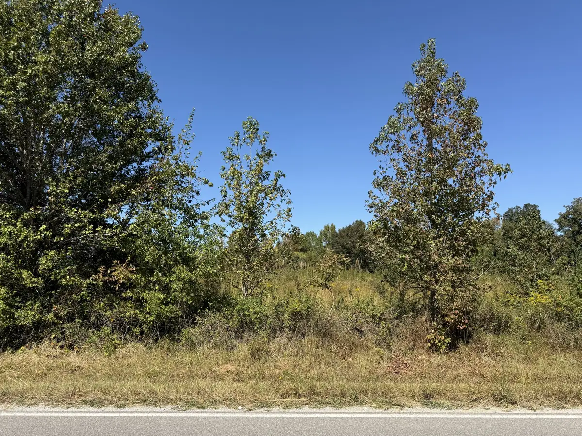 0 Old Florence Pulaski Rd, Leoma, TN 38468 - #1
