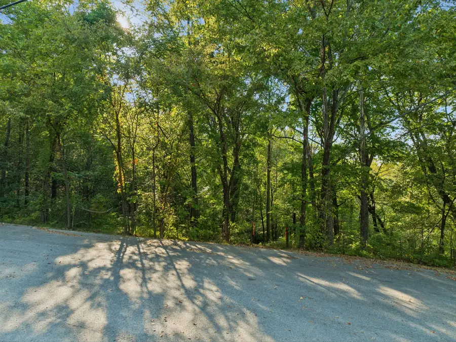 0 Spring Water Lane, Thompsons Station, TN 37179 - #3