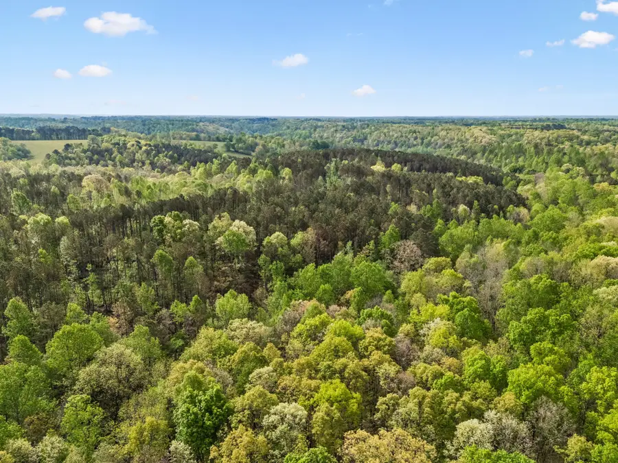 2 Pleasant Ridge Rd, Goodspring, TN 38460 - #2
