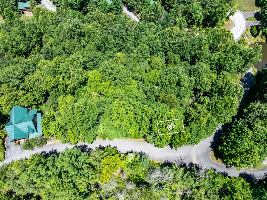 0 High Mountain, Gatlinburg, TN 37738 - #3