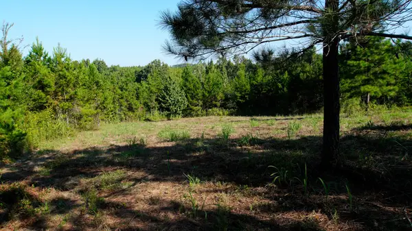 1 Ables Road, Cherokee, AL 35616