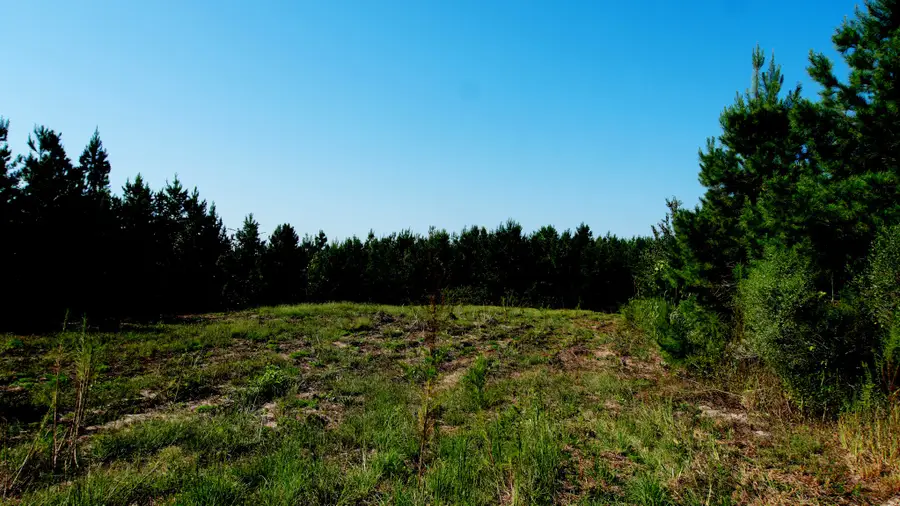 2 Ables Road, Cherokee, AL 35616 - #3