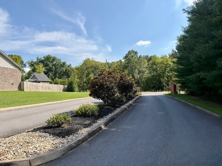 1841 Ally Ln, Sevierville, TN 37876 - #3