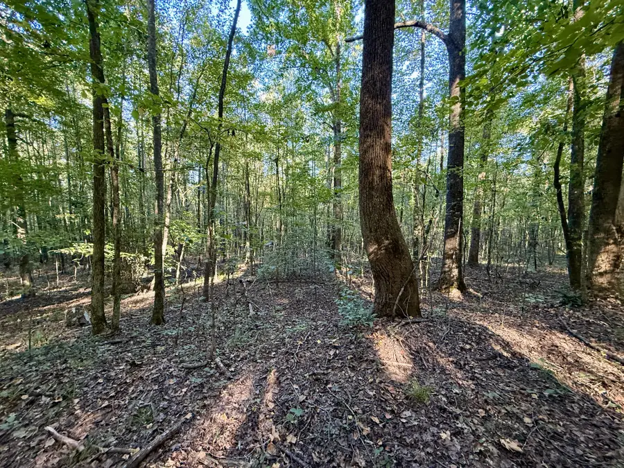836 Bird Spring Rd Sw, Hartselle, AL 35640 - #3