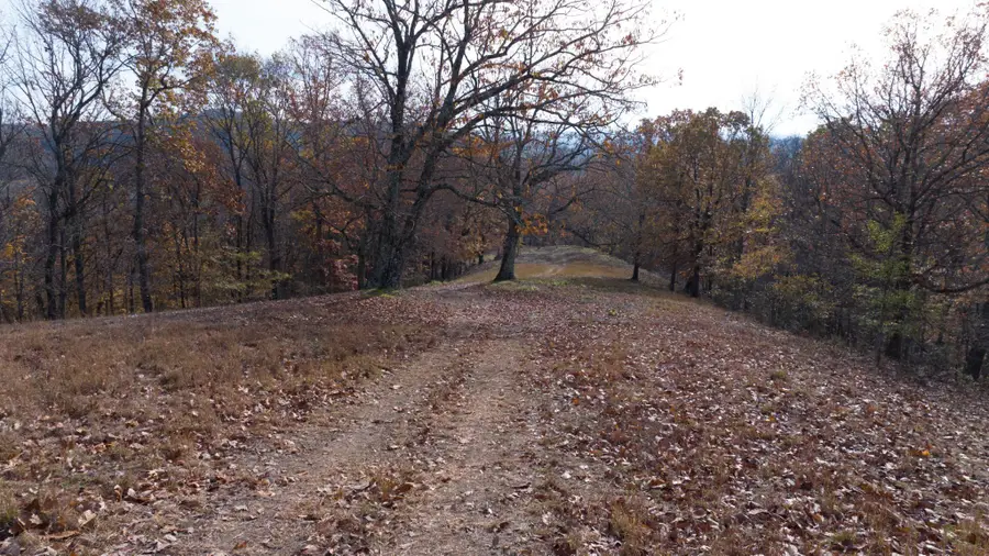 0 Brazier Lane, Gallatin, TN 37066 - #3