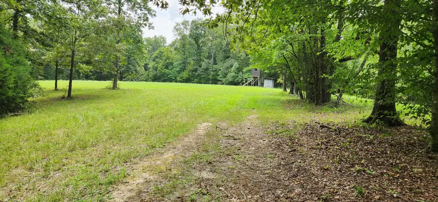 0 E Haleys Creek Rd, Centerville, TN 37033 - #3