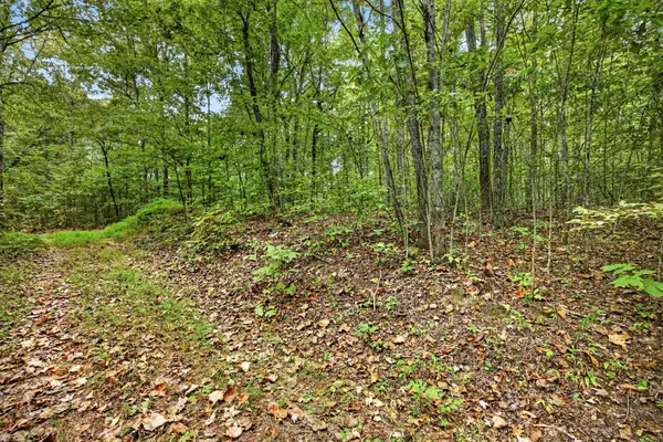 0 Timber Ridge Lane, Celina, TN 38551