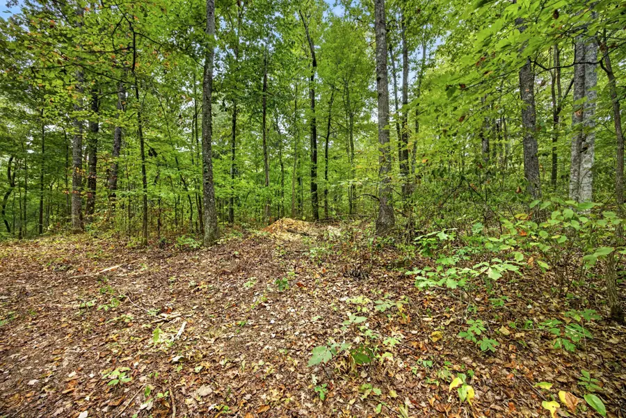 0 Timber Ridge Lane, Celina, TN 38551 - #2