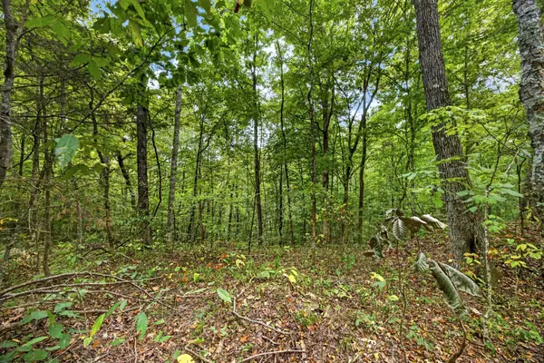 0 Timber Ridge Lane, Celina, TN 38551