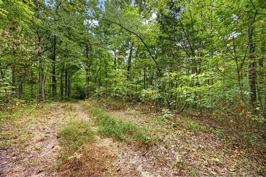 0 Timber Ridge Lane, Celina, TN 38551 - #2