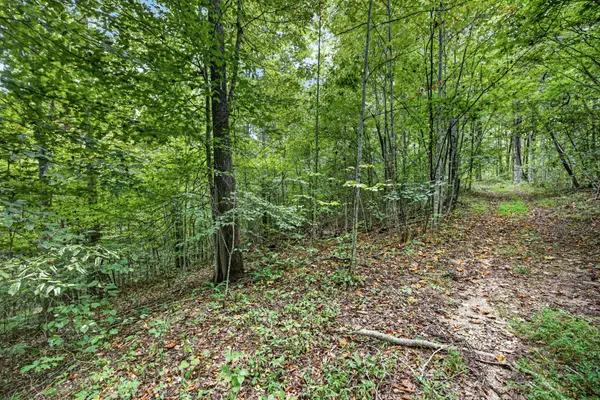 0 Timber Ridge Lane, Celina, TN 38551