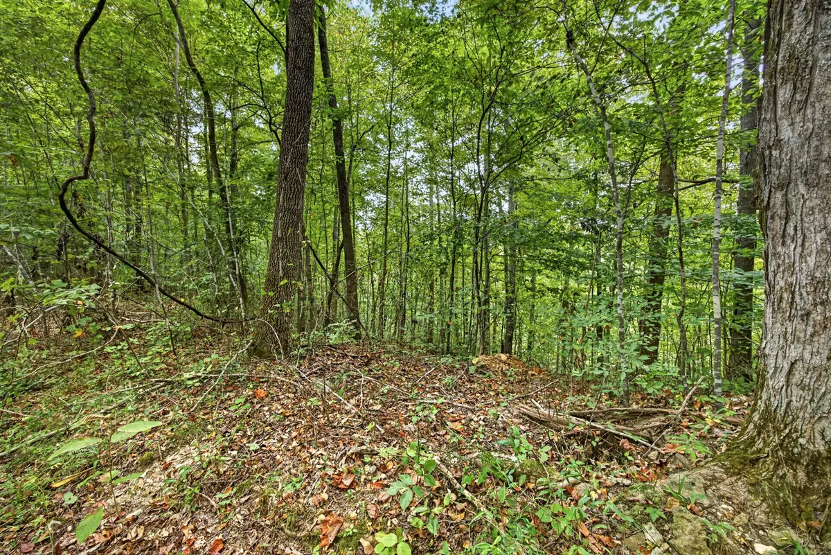 0 Timber Ridge Lane, Celina, TN 38551 - #1