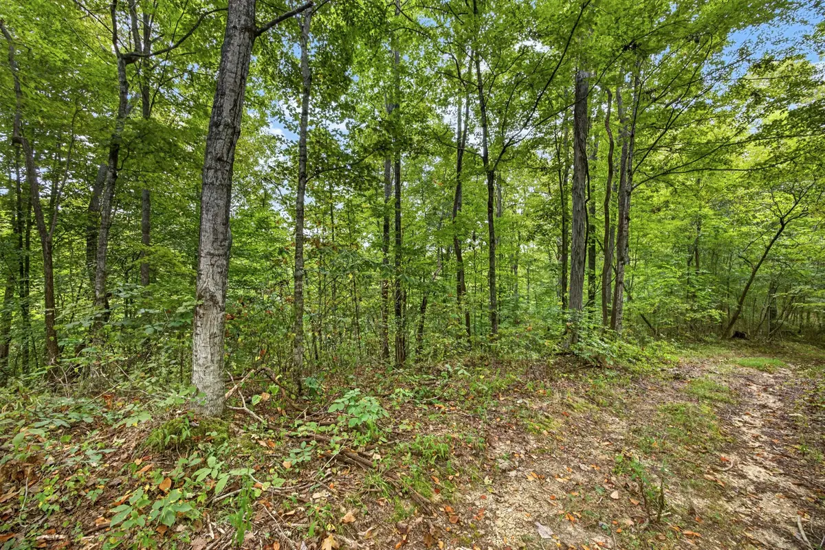 0 Timber Ridge Lane, Celina, TN 38551 - #1