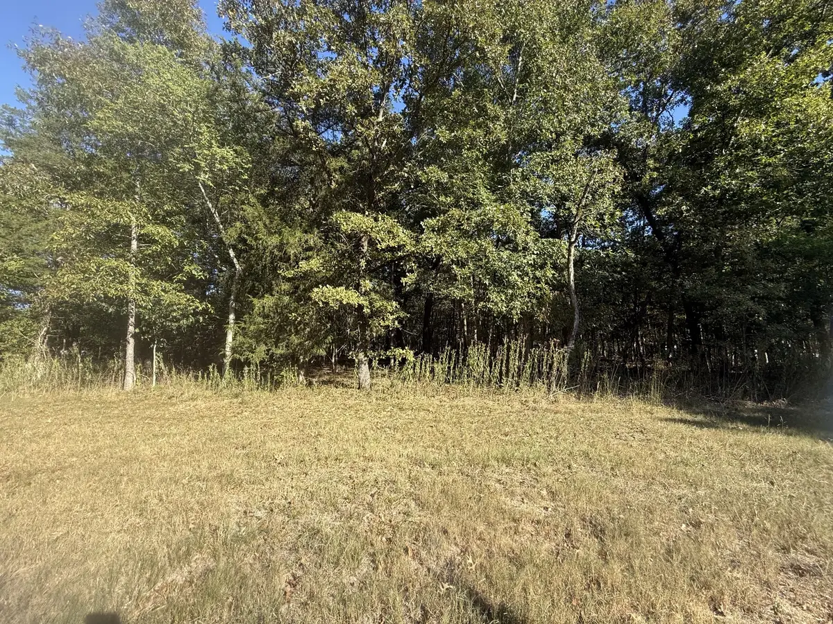 0 Maxwell Chapel Rd, Unionville, TN 37180 - #1