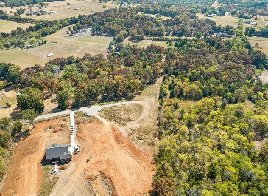 1247 George Patterson Dr, Murfreesboro, TN 37127 - #3
