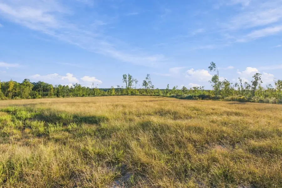 0 Birdsong Road, Holladay, TN 38341 - #2