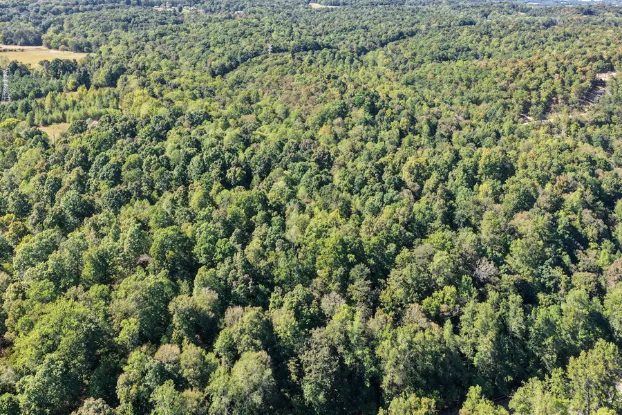 0 Teal Hollow Rd, Kelso, TN 37348 - #2