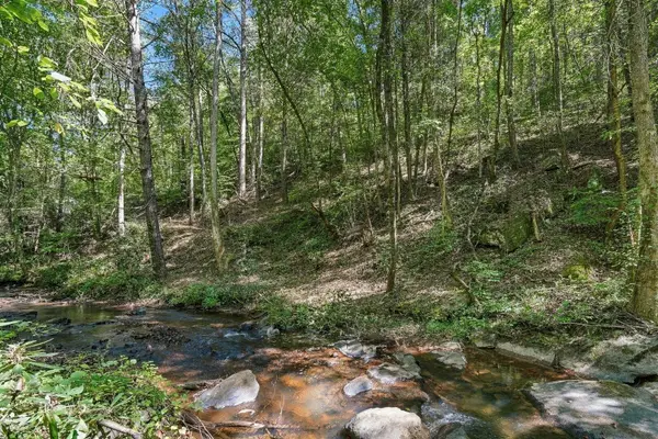 0 Dell Moore Road, Marble Hill, GA 30148