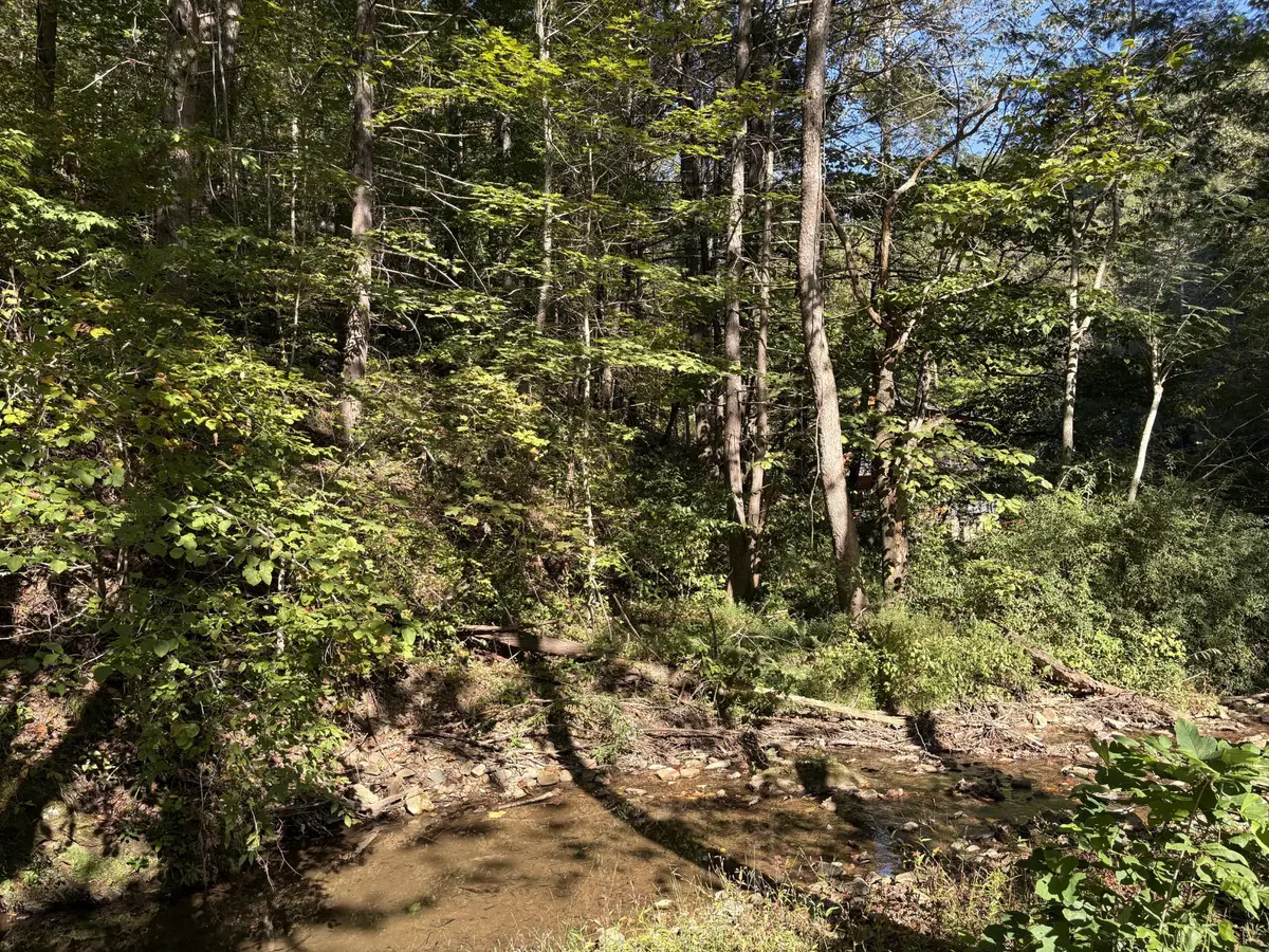 0 N Clearfork Rd, Sevierville, TN 37862 - #1