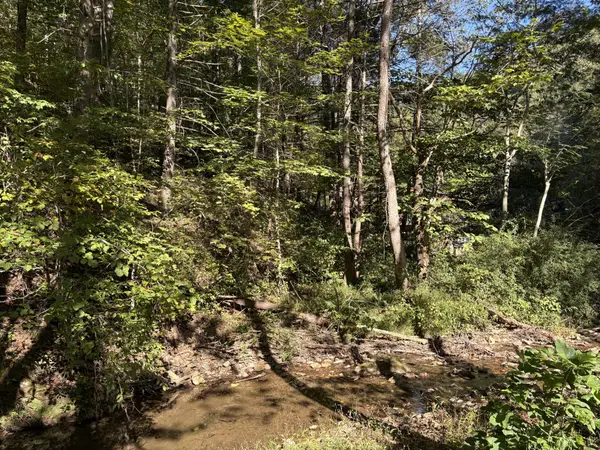 0 N Clearfork Rd, Sevierville, TN 37862