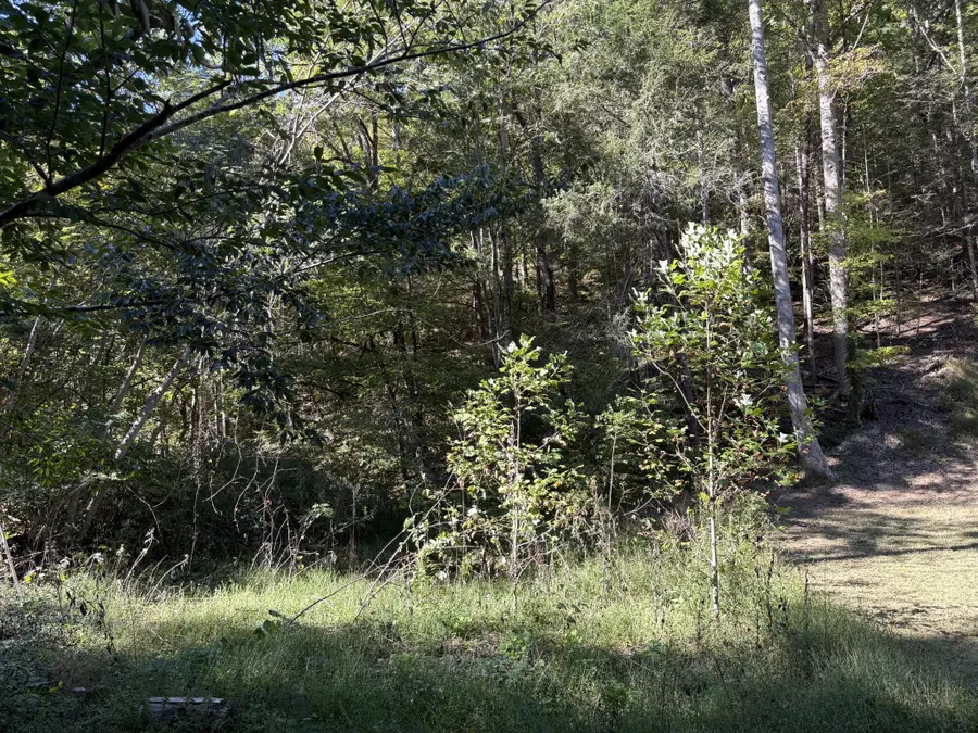 0 N Clearfork Rd, Sevierville, TN 37862 - #3