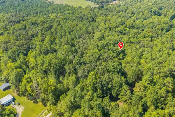 0 Fancy Farm Lane, Parsons, TN 38363