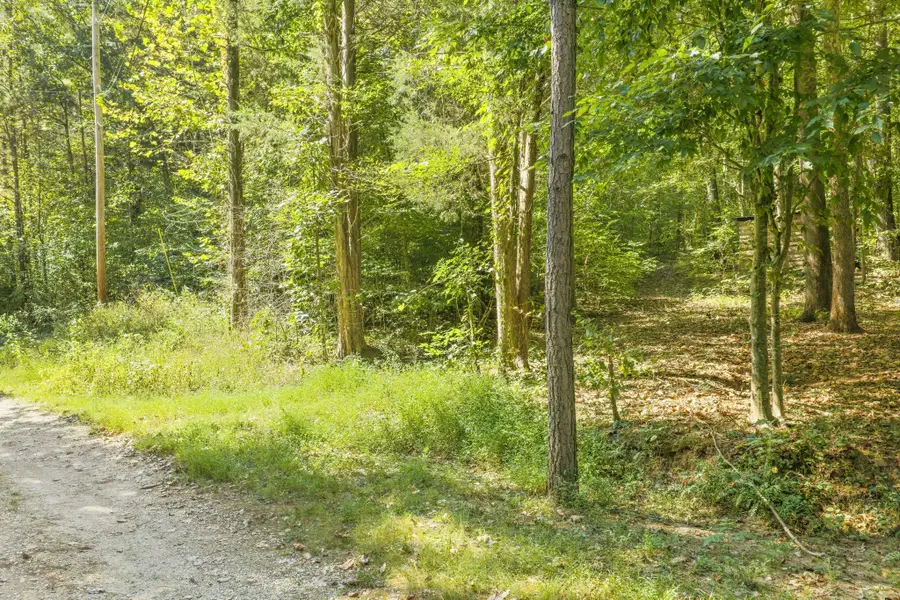 0 Fancy Farm Lane, Parsons, TN 38363 - #2