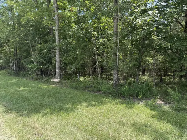 0 Long Branch Rd, Spencer, TN 38585