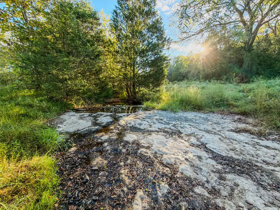 612 Bee Spring Rd, Dellrose, TN 38453 - #3