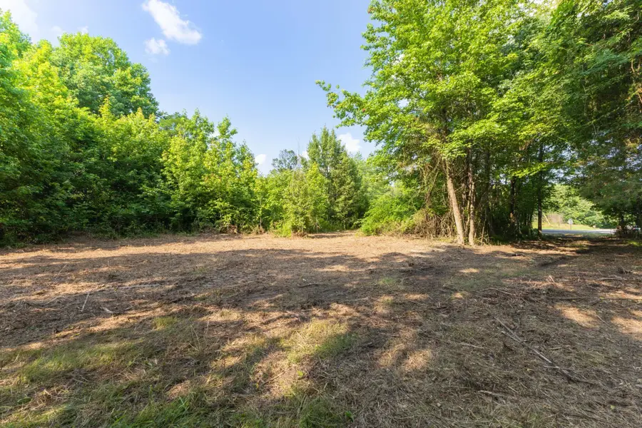 0 Hwy 41a, Joelton, TN 37080 - #2