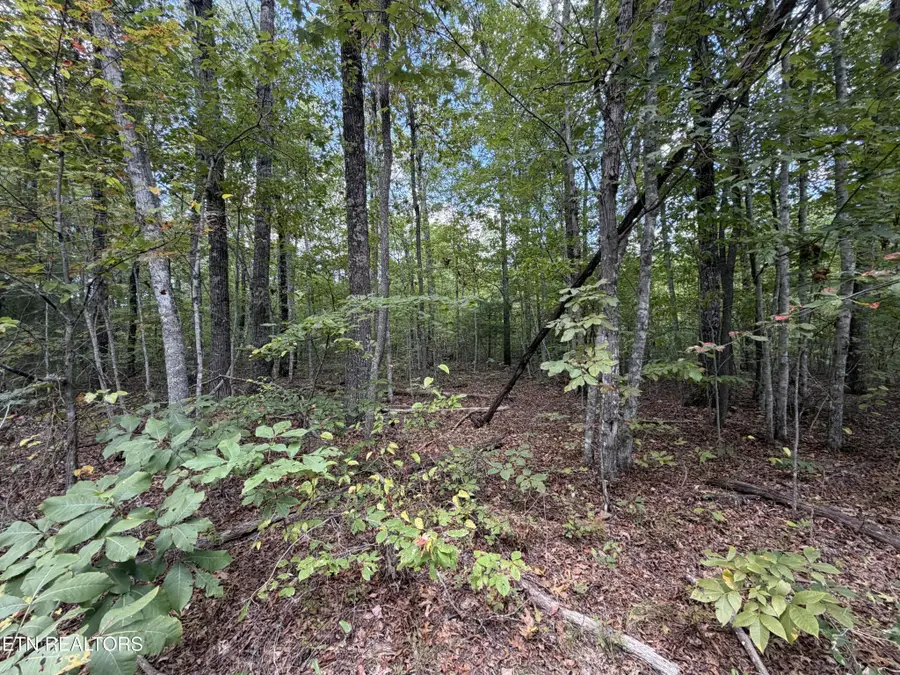 144 Horse Creek Rd, Jamestown, TN 38556 - #2