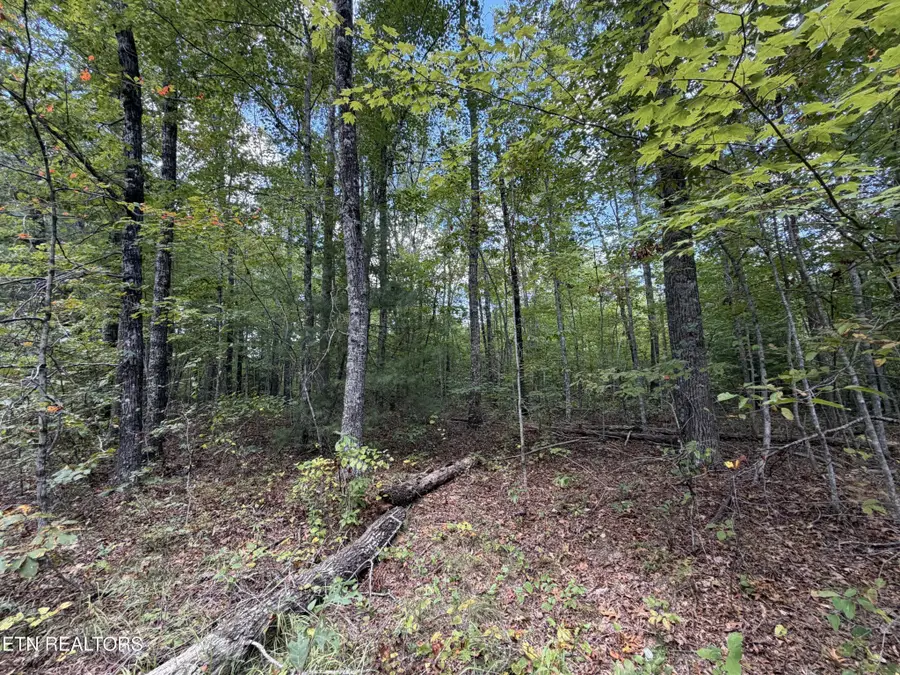 144 Horse Creek Rd, Jamestown, TN 38556 - #3