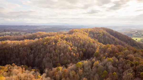 544 Ethel Beard Road, Blountville, TN 37617