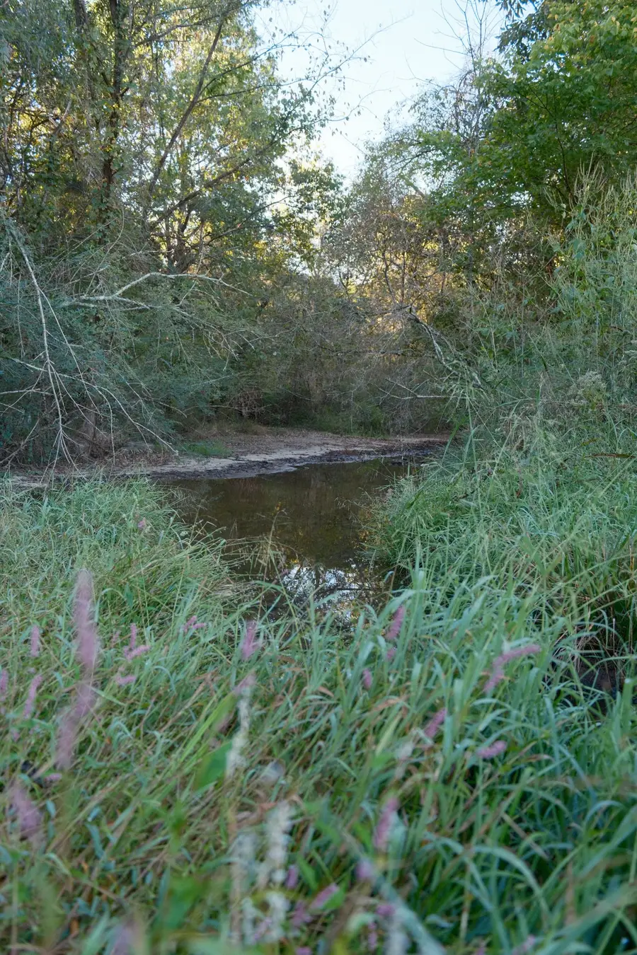 0 Lane Branch Rd, Fayetteville, TN 37334 - #2