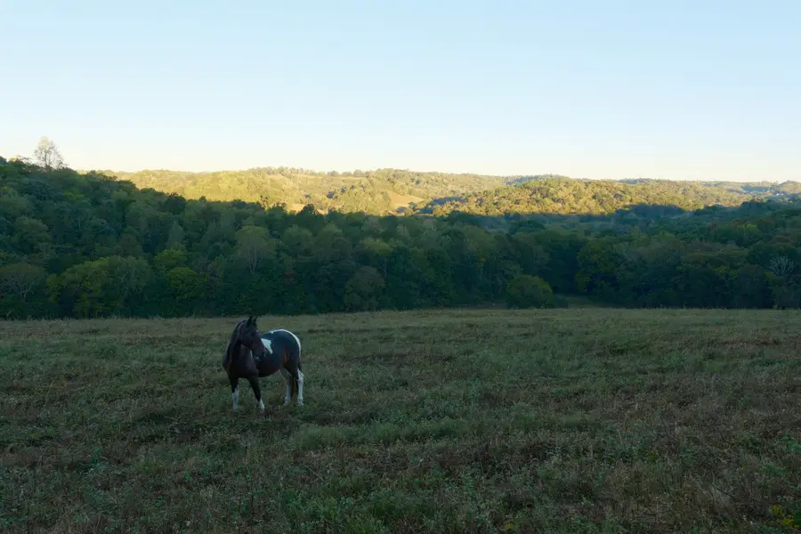 0 Lane Branch Rd, Fayetteville, TN 37334 - #3